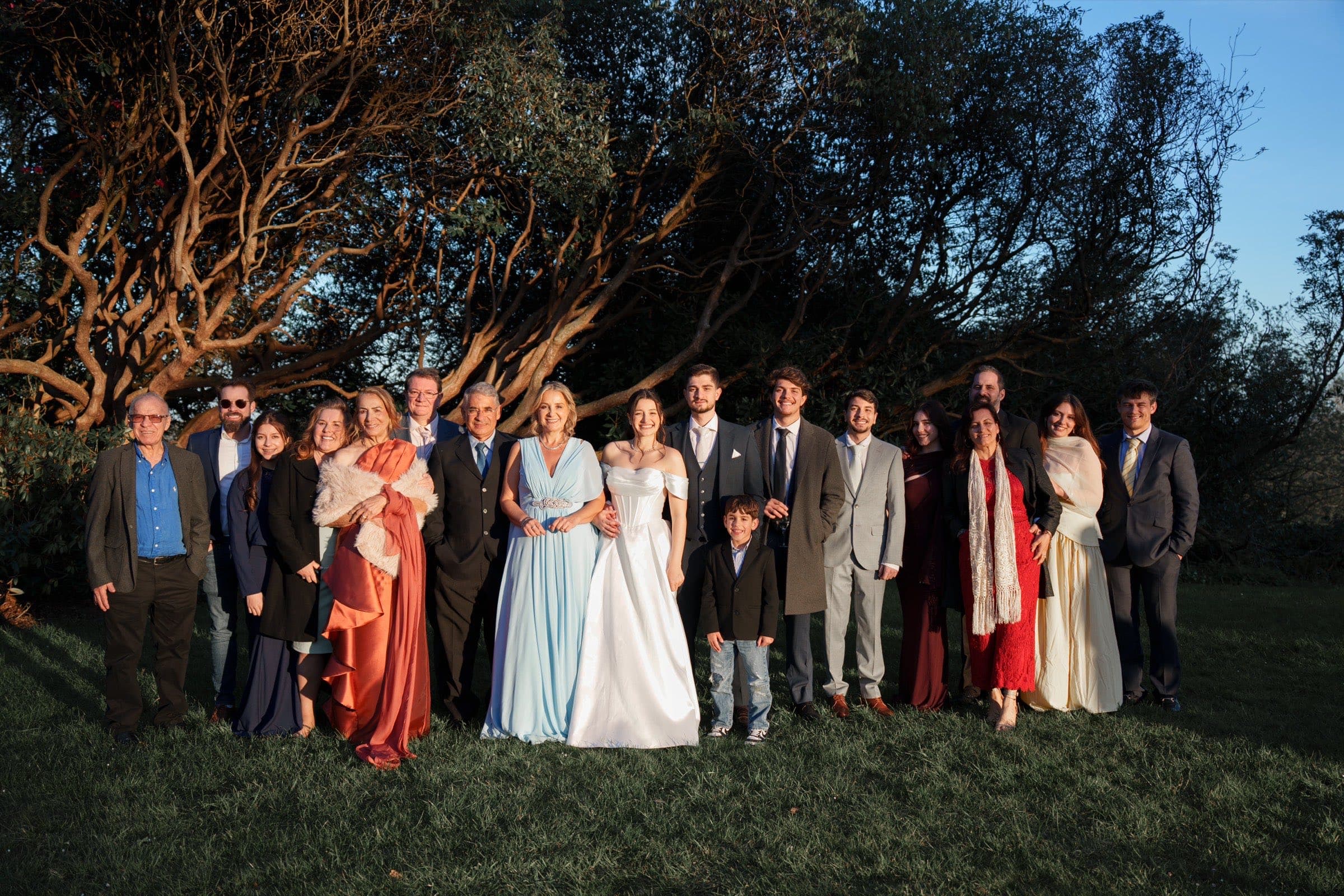 A large wedding group photographed under a tree in golden evening light