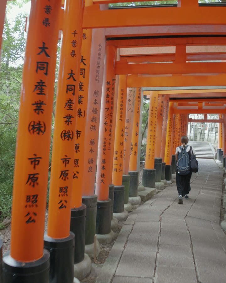 A path through rows of red torii gates in Kyoto